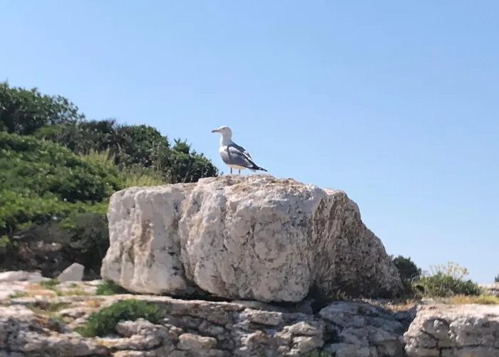 Sunrise Vila Labin (Istria)