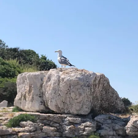 Sunrise Villa Labin (Istria)